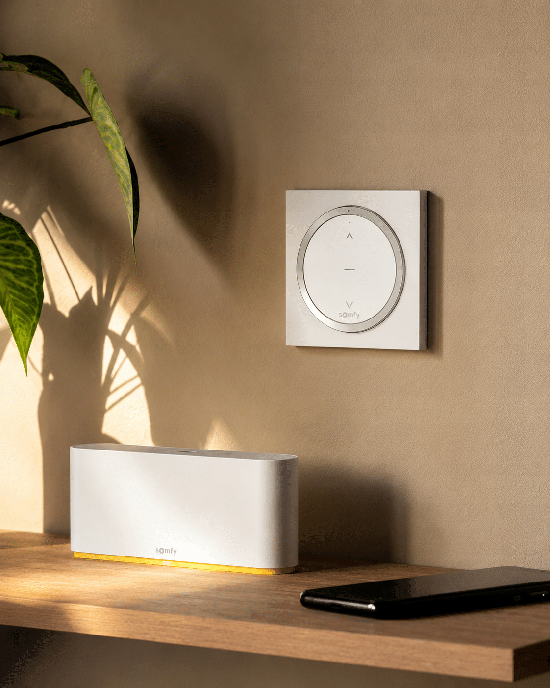 Catalogue domotique Somfy